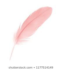 pink feather - Google Search