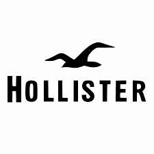 hollister logo - Google Search