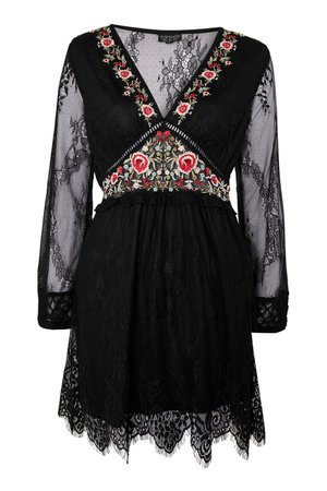 Embroidered Lace Mini Dress - Sale Dresses - Sale - Topshop USA
