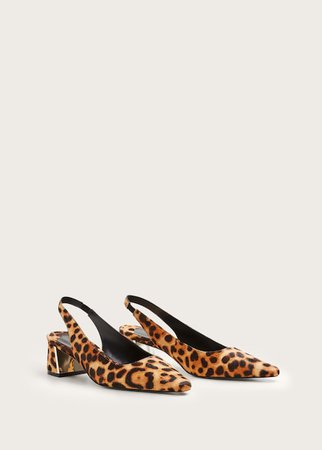 Zapato piel leopardo - Tallas grandes | Violeta by Mango España