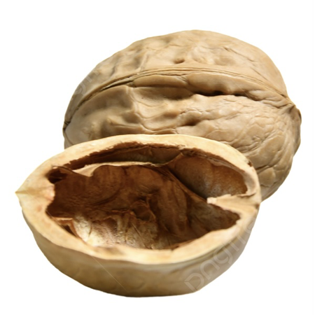 Walnut shell (empty)