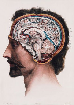 brain vintage - Pesquisa Google