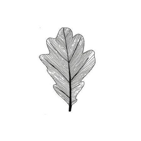 10 Different Ways to Draw - Leaves – Lomond Paper Co.