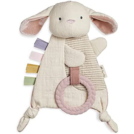 Amazon.com: Itzy Ritzy - Itzy Lovey Including Teether, Textured Ribbons & Dangle Arms; Features Crinkle Sound, Sherpa Fabric and Minky Plush; Sloth : Everything Else