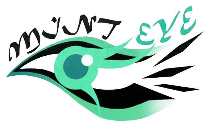 Mint Eye logo