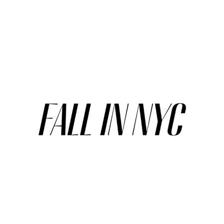 FALL IN NYC