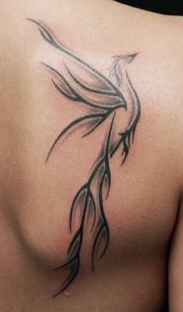 Phoenix shoulder tattoos