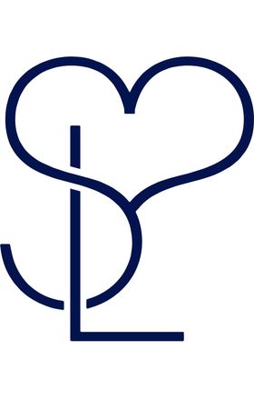 mary j blige sister love logo