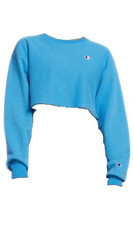 champion blue sweater
