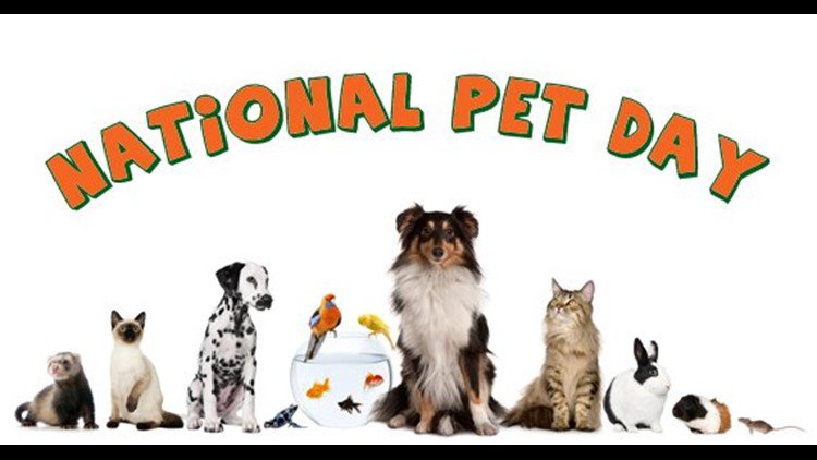 Top ten ways to celebrate National Pet Day today | fox61.com