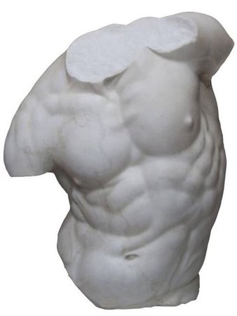 sculpted male torso