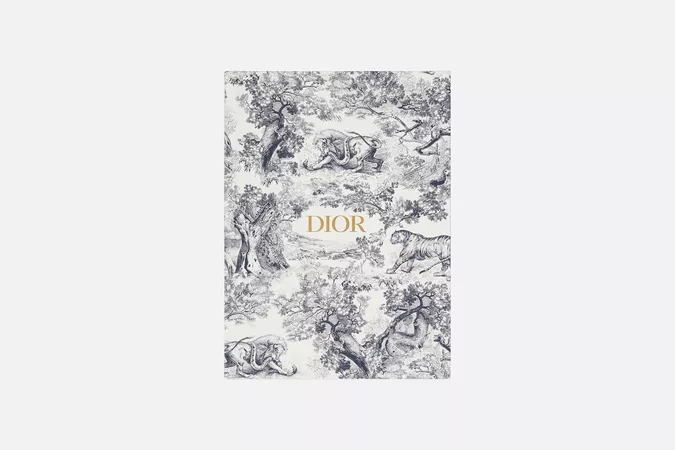 DIOR Large Notebook Toile De Jouy | Google Shopping