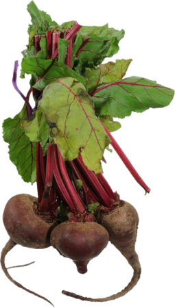 Kroger - Organic - Beets - Red, 1 lb