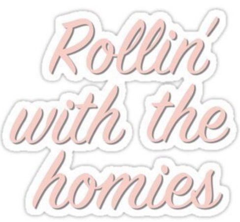 rollin w the homies (clueless)