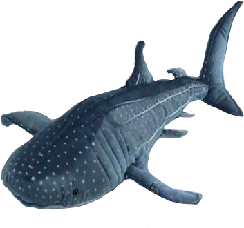 whale shark plush