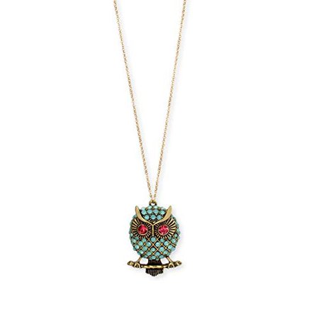 Betsey Johnson Brass Ox-Tone Faceted Stone Owl Pendant Long Necklace in a Gift Box: Clothing