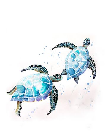 Watercolor Sea Turtle Print Panama City Beach Print Ocean - Etsy