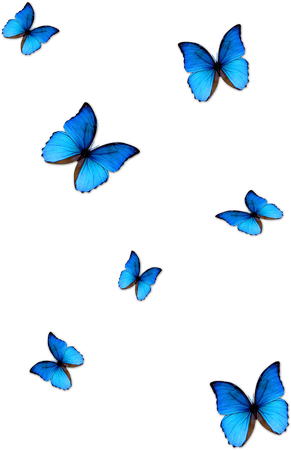 blue butterflies png madness returns - Google Search