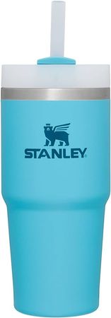 Amazon.com: Stanley Quencher H2.0 FlowState Stainless Steel Vacuum Insulated Tumbler with Lid and Straw for Water, Iced Tea or Coffee, Smoothie and More, Pool, 14 oz : Home & Kitchen