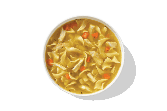 chicken noodle soup bowl