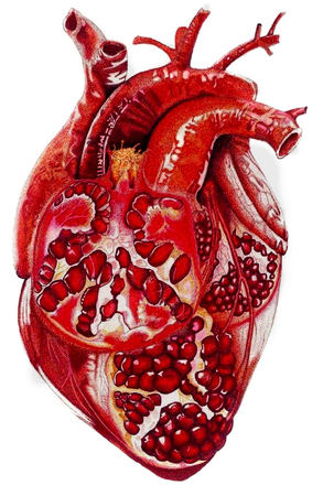 iamemmaread AU artist pomegranate heart