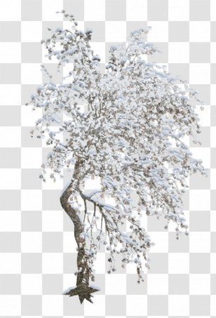 twig-christmas-birch-branch-tree.jpg (308×453)