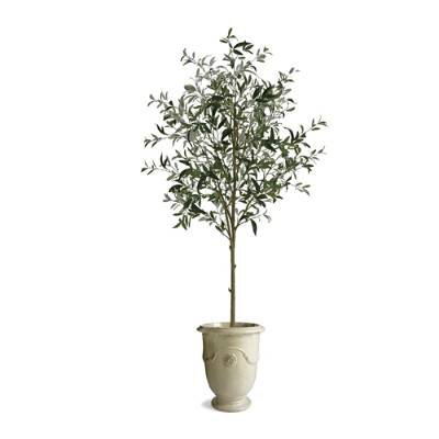 70" Potted Olive Tree | Frontgate