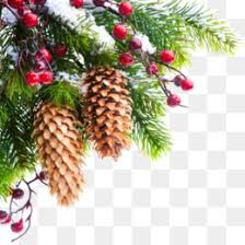 christmas pine cone png - Google Search