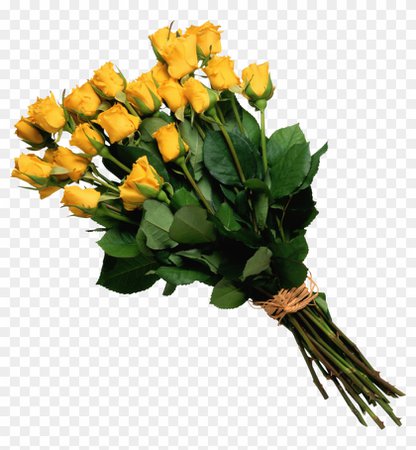 yellow flower bouquet png - Pesquisa Google