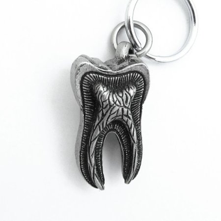 Human Tooth Keychain Tooth Anatomy Keychain Dentist