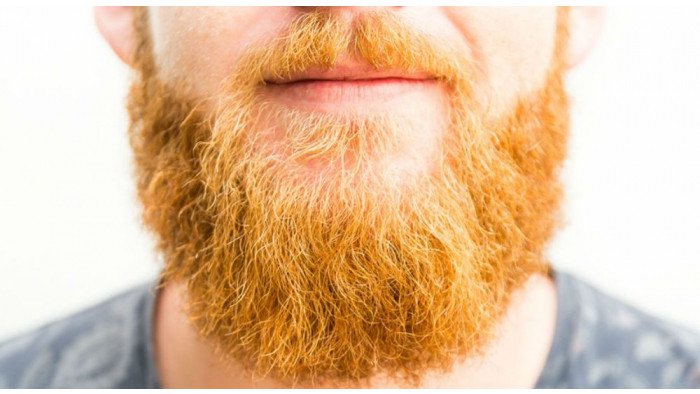 ginger beard - Google Search