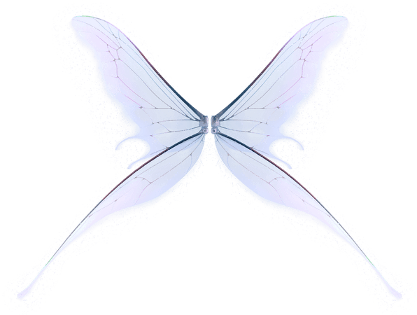 UNRESTRICTED - Fairy Wings 4 by frozenstocks on DeviantArt