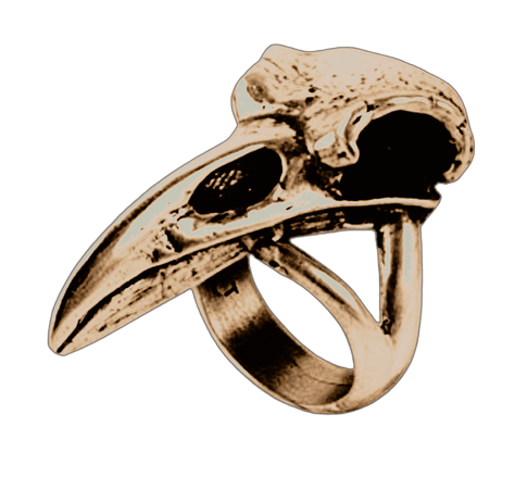 Rebbie_irl’s bronze raven skull ring