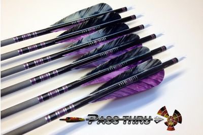 purple arrows for crossbow - Google Search