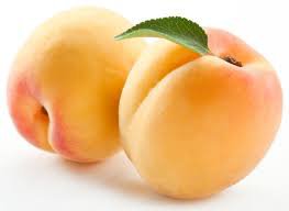 apricot - Google Search
