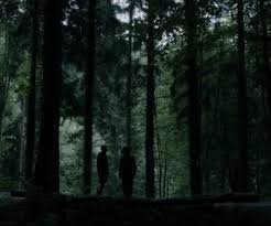 forest aesthetic photo bella swan - Google Search