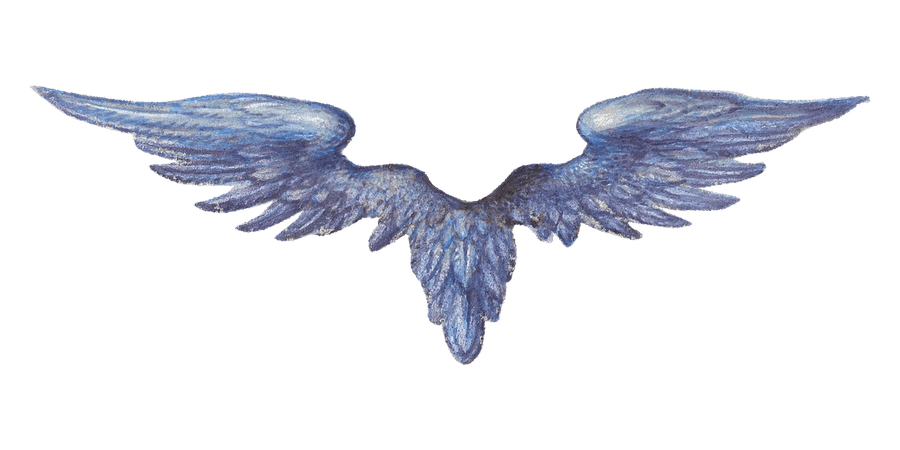 medieval wings