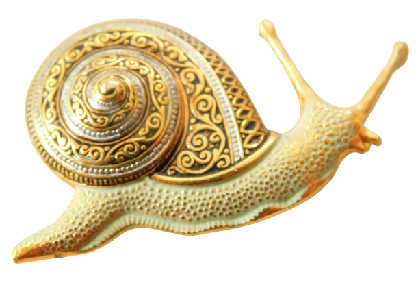 gold snail