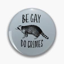 raccoon be gay do crimes pin