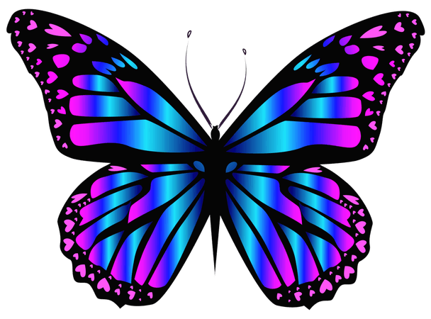 «Butterfly clipart purple butterfly - Pencil and in color but» — карточка пользователя moro2608 в Яндекс.Коллекциях