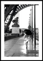 Walking in Paris Poster