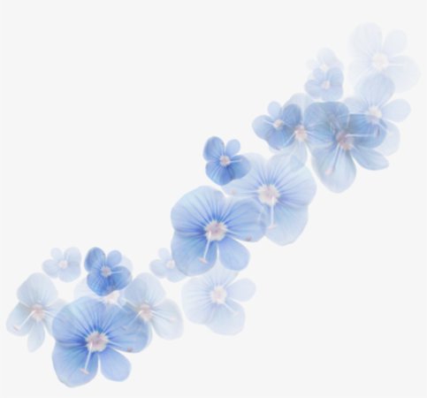 968-9686066_transparent-blue-flower-transparent-background-imagenes-bonitas-de.png (820×764)