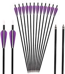 purple archery arrows - Google Search