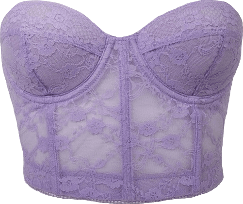 purple lace corset top