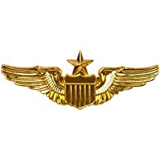 Amazon.com: AUEAR, Metal Aviator Pin Military Wings Pin USAF Air Force Senior Pilot Wing Badge Gold : Clothing, Shoes & Jewelry