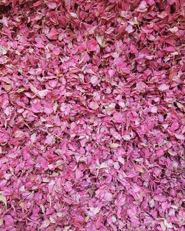 Raspberry pink Flower petal confetti - Biodegradable