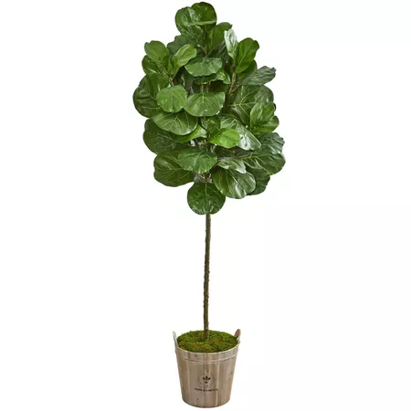 6.5ft Artificial Fiddle Leaf Tree In Farmhouse Planter Green - Nearly Natural : Target