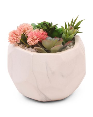 7in Mixed Succulents In Ceramic Pot - Living Room - T.J.Maxx