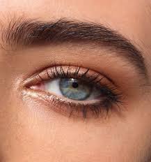 eyes natural makeup - Pesquisa Google