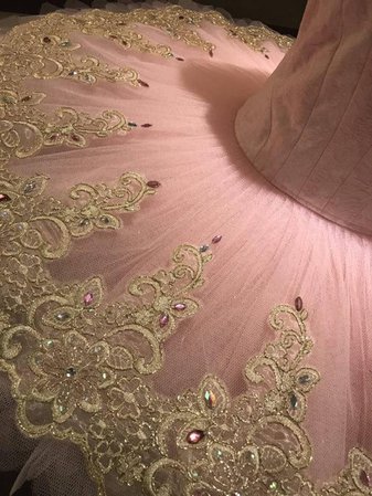PK-005 Professional Pink Gold Lace Platter Ballet Tutu Aurora | Etsy